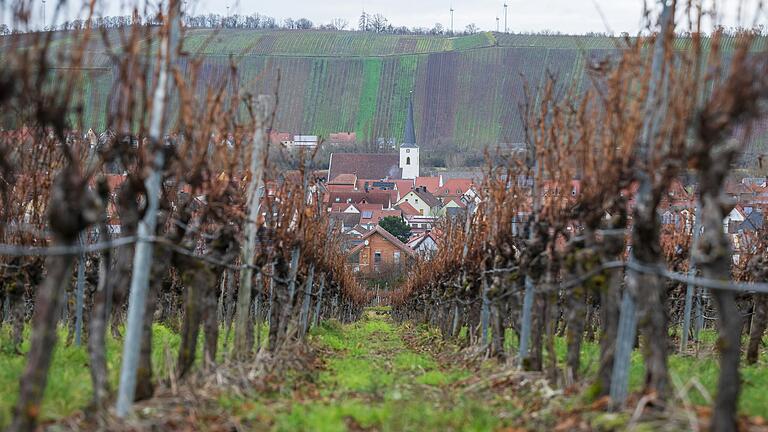 Eine große Freiluft-Weinprobe können Gäste beim Mandelblütenfest in Nordheim erleben. Eine große Freiluft-Weinprobe können Gäste beim Mandelblütenfest in Nordheim erleben.