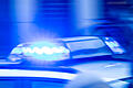 Hundewelpe illegal eingeführt