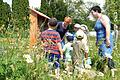 Eine blühende Blumenwiese und ein neues Insektenhotel genießen die Kinder in der städtischen Kindertagesstätte Altfeld.