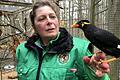 Nicole Metzger hat Beo Piepmatz liebevoll aufgezogen, nachdem sich seine Eltern nicht mehr um ihn kümmerten. Der kleine Beo ist im Juli im Wildpark geschlüpft.