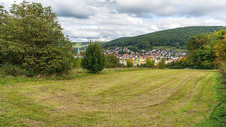 Am 28. November entscheiden die Neustadter über die Bebauung am Michaelsberg. Allerding nur in einem Bürgerentscheid. Der Gemeinderat hat sein Ratsbegehren zurückgezogen.