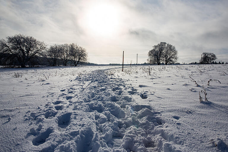 Die Tour geht auch über verschneite Wiesen. Die Tour geht auch über verschneite Wiesen.