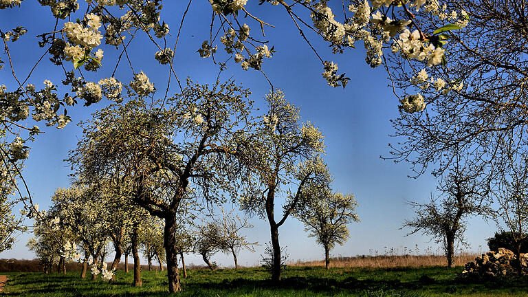 Sonne pur im April. Das Thermometer stieg auf 26,8 Grad Celsius Ende April. Sonne pur im April. Das Thermometer stieg auf 26,8 Grad Celsius Ende April. 