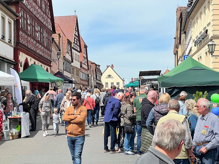 Reges Treiben herrschte anlässlich des Naturpark-Jubiläums in der Eberner Altstadt.