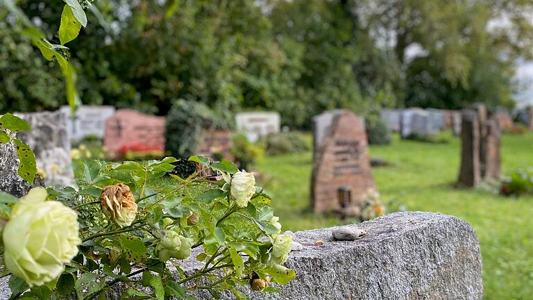 Der Parkfriedhof in Mellrichstadt gilt als die schönste Ruhestätte im Landkreis Rhön-Grabfeld. Die Auszeichnung erfolgte durch den Bayerischen Landesverband für Gartenbau und Landespflege. Der Parkfriedhof in Mellrichstadt gilt als die schönste Ruhestätte im Landkreis Rhön-Grabfeld. Die Auszeichnung erfolgte durch den Bayerischen Landesverband für Gartenbau und Landespflege.