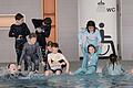 Schüler/innen der Grundschule Langenprozelten beim Rettungsschwimmen.