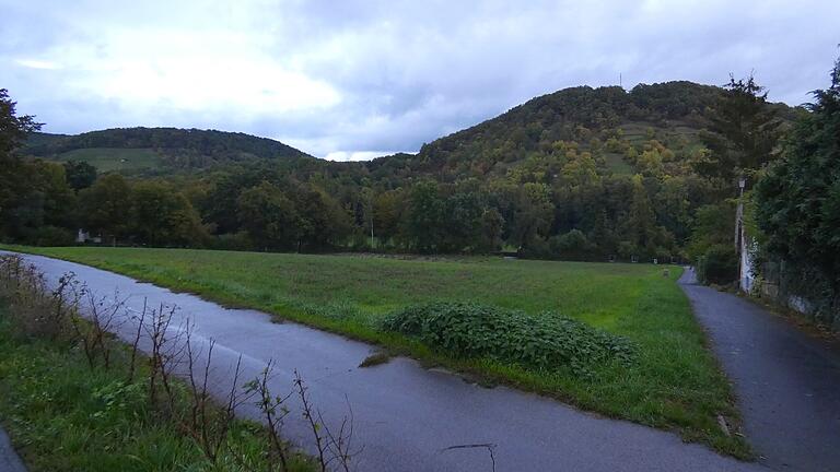 Diese Wiese am Ortsausgang Richtung Krum, nahe des Hainfriedhofs, gehört der Stadt Zeil und wird als neues Baugebiet 'Setzbach' mit zehn Grundstücken ausgewiesen. Diese Wiese am Ortsausgang Richtung Krum, nahe des Hainfriedhofs, gehört der Stadt Zeil und wird als neues Baugebiet 'Setzbach' mit zehn Grundstücken ausgewiesen.