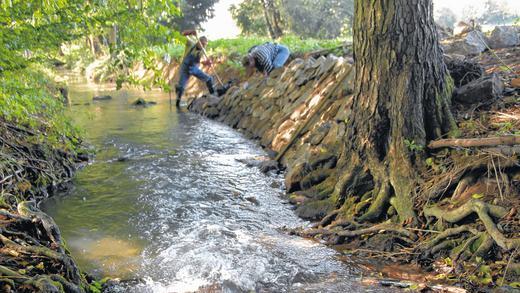 Gefährdetes Idyll für Tiere und Spaziergänger: Die Kürnach zwischen Lengfeld (wo gerade die Böschung befestigt wird) und Estenfeld. Gefährdetes Idyll für Tiere und Spaziergänger: Die Kürnach zwischen Lengfeld (wo gerade die Böschung befestigt wird) und Estenfeld.