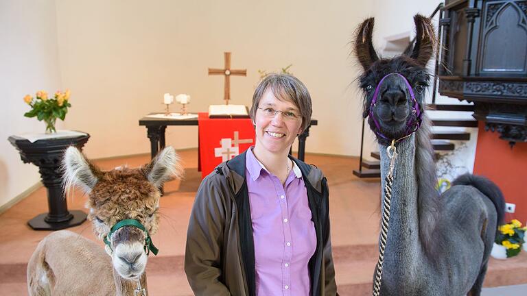 Pfarrerin mit Lamas und Alpakas im Auftrag des Herrn unterwegs - Pfarrin Wiltrud Bauer nimmt ihre Tiere gerne zu Besuchen im Hospiz oder Altenheim mit (Archivbild) Pfarrerin mit Lamas und Alpakas im Auftrag des Herrn unterwegs - Pfarrin Wiltrud Bauer nimmt ihre Tiere gerne zu Besuchen im Hospiz oder Altenheim mit (Archivbild)