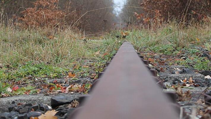 Die Trasse der Steigerwaldbahn wird, wie hier im Hörnauer Wald, immer mehr von der Natur zugewuchert. Die Anrainergemeinden setzen unterdessen unbeirrt ihren Kurs fort, der Bahnlinie den Todesstoß zu geben.