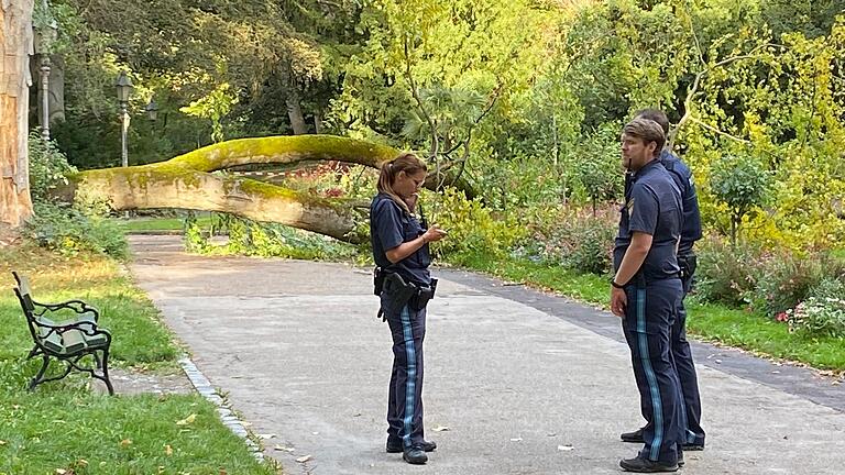 Polizei am Unfallort im Würzburger Ringpark: Im Hintergrund die umgestürzte Buche.