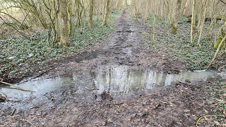 Der Wanderweg 'G 1' im Mahlholz hat sich streckenweise in tiefen Morast verwandelt.&nbsp;&nbsp;