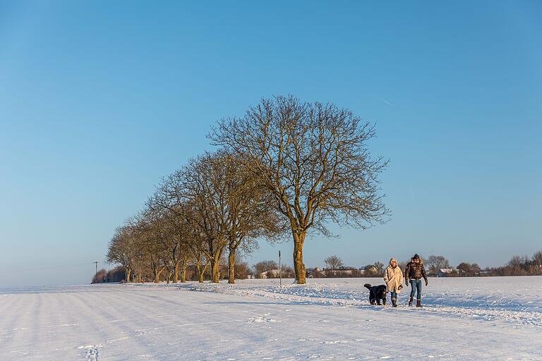 Im Schnee besonders schön: Unterwegs auf dem Narr-Erholungs-Weg. Im Schnee besonders schön: Unterwegs auf dem Narr-Erholungs-Weg.