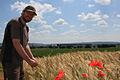 Bio-Landwirt David Wiener aus Lülsfeld steht an einem Acker mit Wintergerste. Die Aussicht auf die diesjährige Ernte bereitet ihm und seinen Berufskollegen große Sorgen. Der Grund: Es fehlt an Regen.