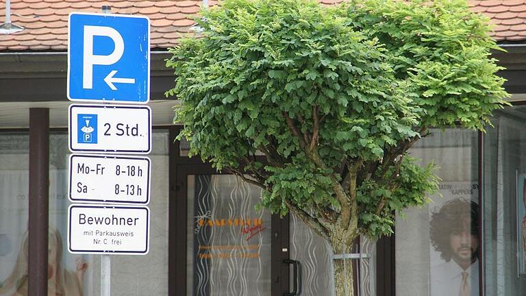 Mit der Möglichkeit, für Handwerker und Soziale Dienste in der Altstadt Parkerleichterungen zu schaffen, befasste sich der Stadtrat Eltmann in seiner Sitzung am Dienstag.