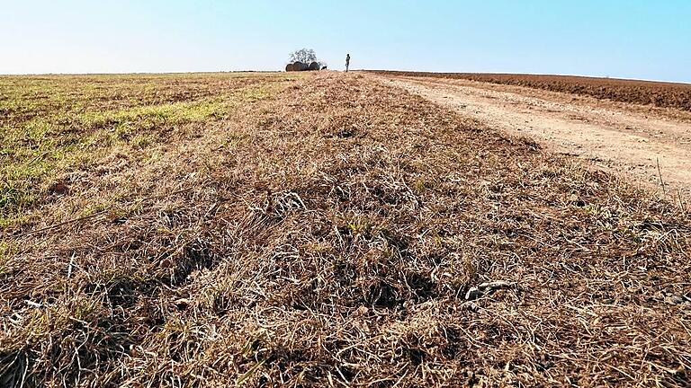 Die Natur leidet vielerorts an der anhaltenden Trockenheit. Damit auf diesem Acker bei Kürnach (Lkr. Würzburg) etwas gedeihen kann, muss es regnen.