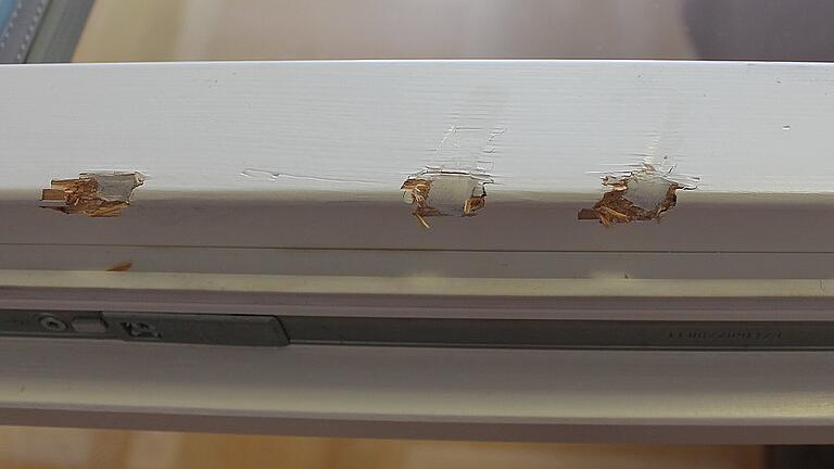 Der Einbrecher hat am Fenster deutliche Spuren hinterlassen. Der Einbrecher hat am Fenster deutliche Spuren hinterlassen.