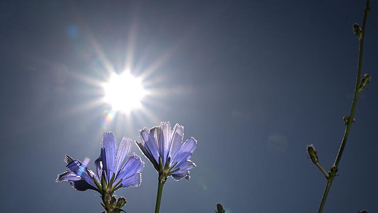 Wetter in Baden-Württemberg.jpeg       -  Am Wochenende stiegen die Temperaturen in Deutschland vielerorts auf weit über 30 Grad Celsius.