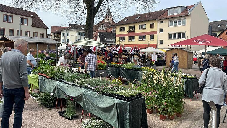 Der Musikverein Frammersbach (Hintergrund) eröffnete pünktlich um 12 Uhr den diesjährigen Blumen- und Gartenmarkt.