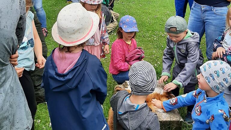 Ein besonderes Highlight war das Kennenlernen der verschiedenen Tierarten. Waschbär, Fuchs und Wildschwein, die Felle der verschiedenen Tiere konnten hautnah ertastet werden.