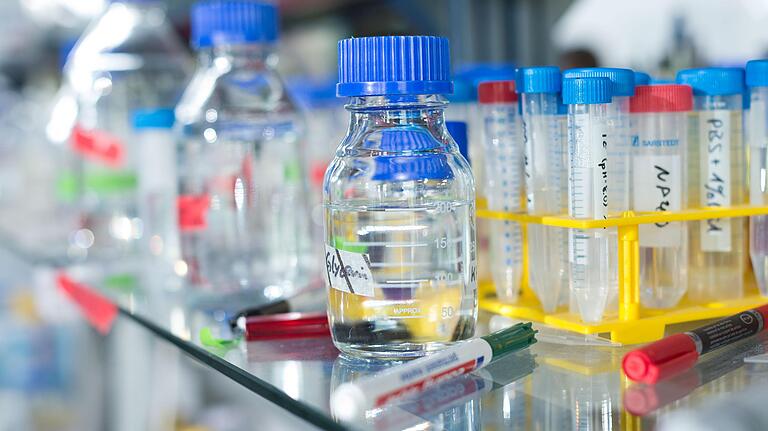 Aufnahme aus einem Labor im Biozentrum an der Universität Würzburg. Mit Hilfe von Bäckerhefe wird hier am menschlichen Erbgut geforscht, Ergebnisse werden unter anderem für die Krebsforschung eingesetzt. Aufnahme aus einem Labor im Biozentrum an der Universität Würzburg. Mit Hilfe von Bäckerhefe wird hier am menschlichen Erbgut geforscht, Ergebnisse werden unter anderem für die Krebsforschung eingesetzt.