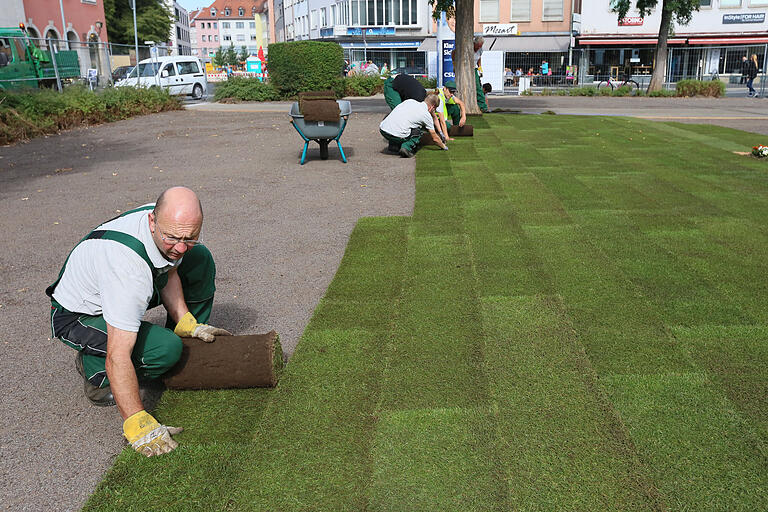 Rollrasen wurde im Sommer 2017 auf dem Kardinal-Faulhaber-Platz ausgelegt.