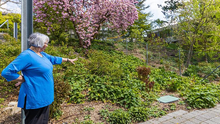 Marianne Scheu-Helgert, Leiterin der Bayerischen Gartenakademie, zeigt die Stauden- und Gehölzbepflanzung. Hier wachsen unter anderem eine Zierkische und Pfingstrosen. Marianne Scheu-Helgert, Leiterin der Bayerischen Gartenakademie, zeigt die Stauden- und Gehölzbepflanzung. Hier wachsen unter anderem eine Zierkische und Pfingstrosen.