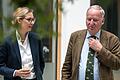 AfD-Spitzenkandidaten Gauland und Weidel zu Asylkonzept       -  Zieht die AfD in den Bundestag ein, dürfte Alexander Gauland Fraktionschef werden. Er und Alice Weidel sind Spitzenkandidaten der Partei.