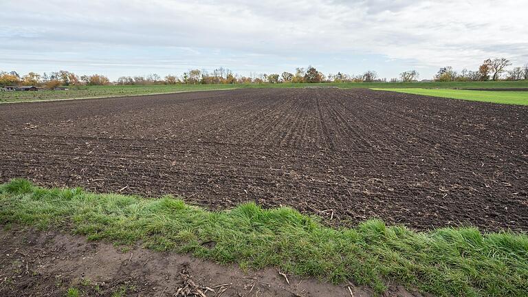 Alles im grünen Bereich! Das satellitengestützte Flächenmonitoringsystem hatte diesen Acker bei Bergrheinfeld fälschlicherweise mit einer roten Ampel ausgewiesen. Die Prüfer des Landwirtschaftsamtes Schweinfurt stellten bei der Vor-Ort-Kontrolle aber fest, dass alle EU-Förderauflagen erfüllt sind. Alles im grünen Bereich! Das satellitengestützte Flächenmonitoringsystem hatte diesen Acker bei Bergrheinfeld fälschlicherweise mit einer roten Ampel ausgewiesen. Die Prüfer des Landwirtschaftsamtes Schweinfurt stellten bei der Vor-Ort-Kontrolle aber fest, dass alle EU-Förderauflagen erfüllt sind.