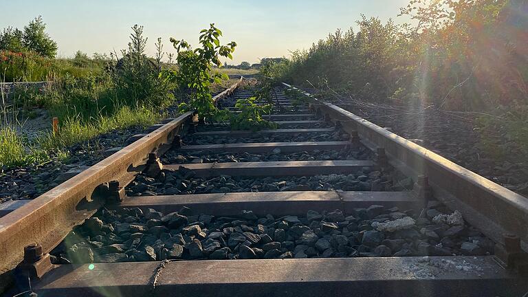 Ein Blick auf die Gleise der Steigerwaldbahn im Landkreis Kitzingen.