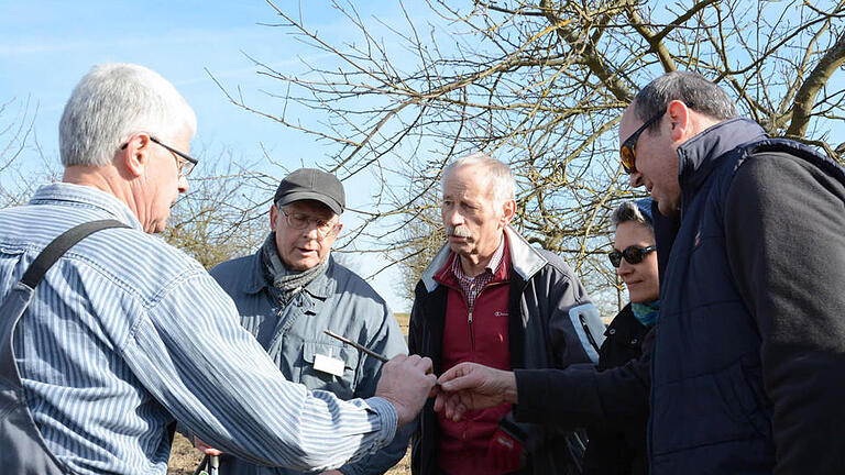 Edwin Fella zeigt die verschiedenen Veredlungsmethoden, die man im Frühjahr anwenden kann.  Foto: Gerd Schaar       -  Edwin Fella zeigt die verschiedenen Veredlungsmethoden, die man im Frühjahr anwenden kann.  Foto: Gerd Schaar