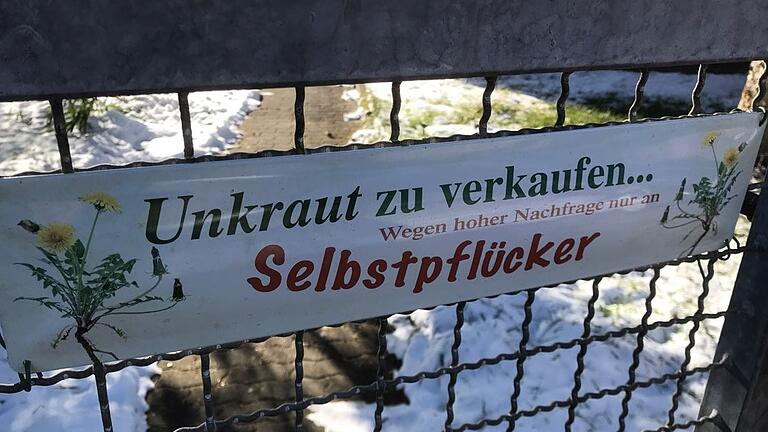 Schild an einer Gartentür: ' Unkraut zu verkaufen – Wegen hoher Nachfrage nur an Selbstpflücker' Schild an einer Gartentür: ' Unkraut zu verkaufen – Wegen hoher Nachfrage nur an Selbstpflücker'