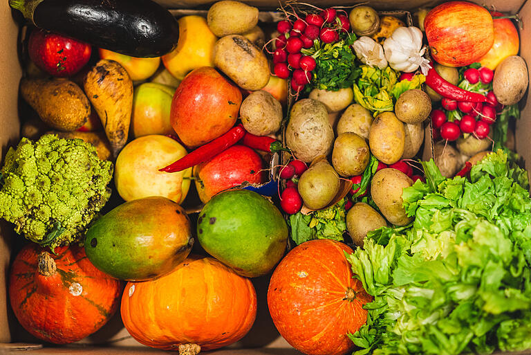 Circa einmal die Woche geht Moritz H. containern. Auf dem Bild sind Lebensmittel zu sehen, die er bei seiner letzten Tour in Containern von Supermärkten gefunden hat. Obst und Gemüse finde er dabei laut eigener Aussage immer.