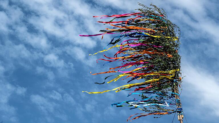 Der Maibaum in Gerolzhofen (hier ein Symbolbild) wurde bereits in der Nacht vor dem Maibaum-Fest umgesägt. Innerhalb weniger Stunden war jedoch ein Ersatz organisiert, so dass das Bürgerfest am Marktplatz unterm Maibaum dennoch stattfinden konnte. Der Maibaum in Gerolzhofen (hier ein Symbolbild) wurde bereits in der Nacht vor dem Maibaum-Fest umgesägt. Innerhalb weniger Stunden war jedoch ein Ersatz organisiert, so dass das Bürgerfest am Marktplatz unterm Maibaum dennoch stattfinden konnte.