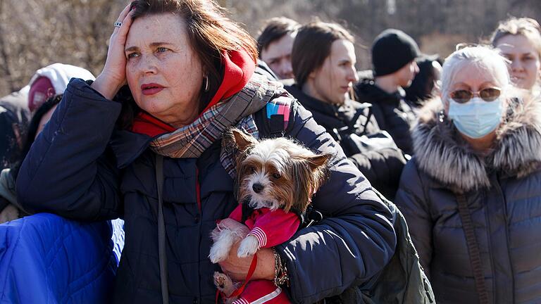 Eine Frau hält einen Hund an der ukrainisch-slowakischen Grenze. Wegen des russischen Angriffs fliehen derzeit hunderttausende Ukrainerinnen und Ukrainer aus ihrem Land - viele haben ihre Tiere mit dabei. Eine Frau hält einen Hund an der ukrainisch-slowakischen Grenze. Wegen des russischen Angriffs fliehen derzeit hunderttausende Ukrainerinnen und Ukrainer aus ihrem Land - viele haben ihre Tiere mit dabei.