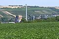 Ein Zuckerrübenfeld auf der Höhe über der Ochsenfurter Zuckerfabrik. Noch sind die meisten Bestände in Franken gut mit Wasser versorgt.&nbsp;