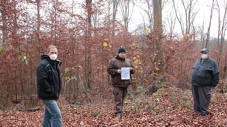 Drei Holzrechtler im Rechtlerwald bei Langendorf.       -  Drei Holzrechtler im Rechtlerwald bei Langendorf.
