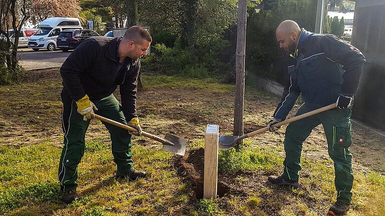 Gartenamtsmitarbeiter setzen die ersten Pflöcke mit den Widmungsschildern. Gartenamtsmitarbeiter setzen die ersten Pflöcke mit den Widmungsschildern.