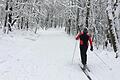 Der Wintersport in der Rhön geht in die zweite Runde. Mit rund 40 Zentimetern Schnee am Kreuzberg und vielerorts gespurten Loipen steht dem Sportvergnügen nichts im Weg.