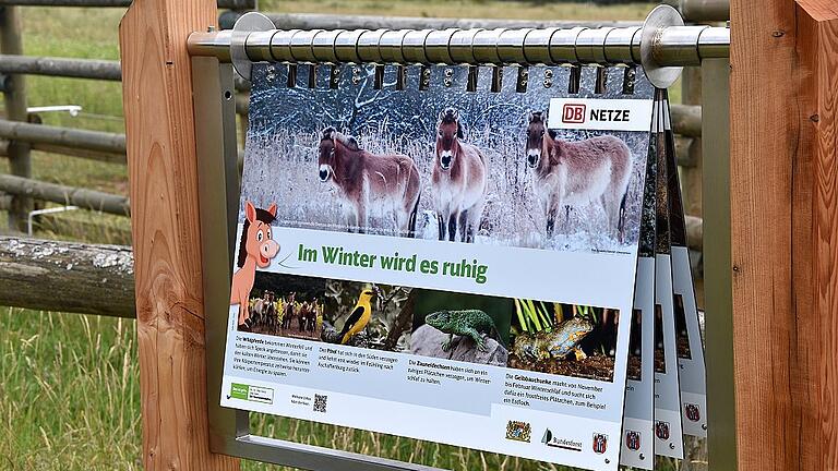 Lehrreich: An einigen interaktiven Stationen erfahren Kinder mehr über die Tiere auf dem Naturerbe-Areal.