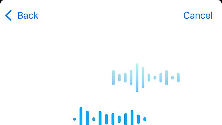 Screenshot Hörtest der Apple Airpods Pro 2 - Im Hörtest werden die Frequenzbereiche erfasst, in denen die Airpods-Träger vielleicht schon Schwierigkeiten haben. Screenshot Hörtest der Apple Airpods Pro 2 - Im Hörtest werden die Frequenzbereiche erfasst, in denen die Airpods-Träger vielleicht schon Schwierigkeiten haben.