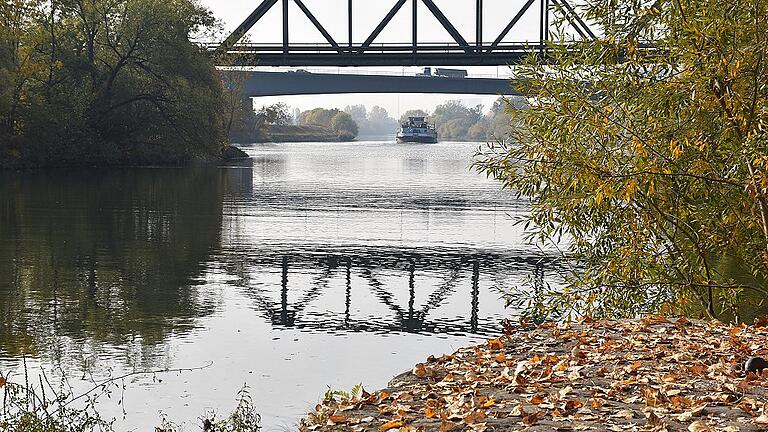 Der Herbst ist da, auch wenn bis in die zweite Oktoberhälfte hinein eher Biergartenwetter herrschte. Und zum Herbst gehören nun mal braune Blätter &ndash; wie hier am Mainufer entlang der Gutermann-Promenade.