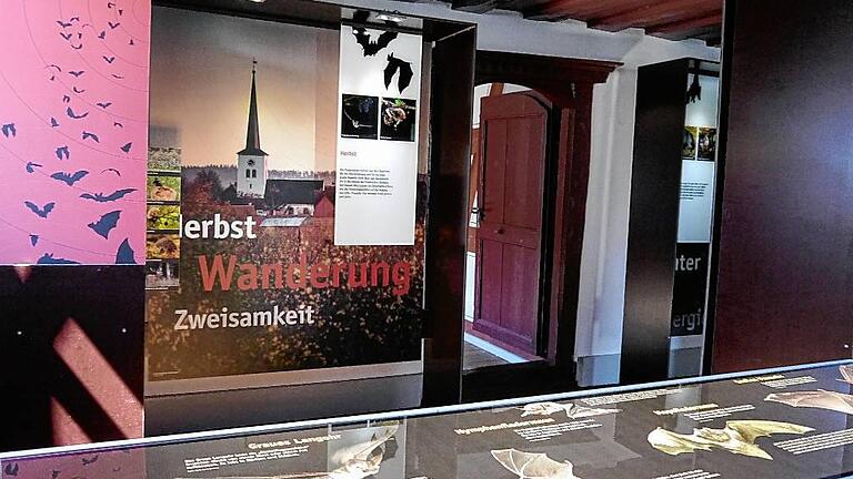 Im ersten Stock kann man jetzt kostenlos die Ausstellung zu den heimischen Fledermäusen besuchen. Im ersten Stock kann man jetzt kostenlos die Ausstellung zu den heimischen Fledermäusen besuchen.