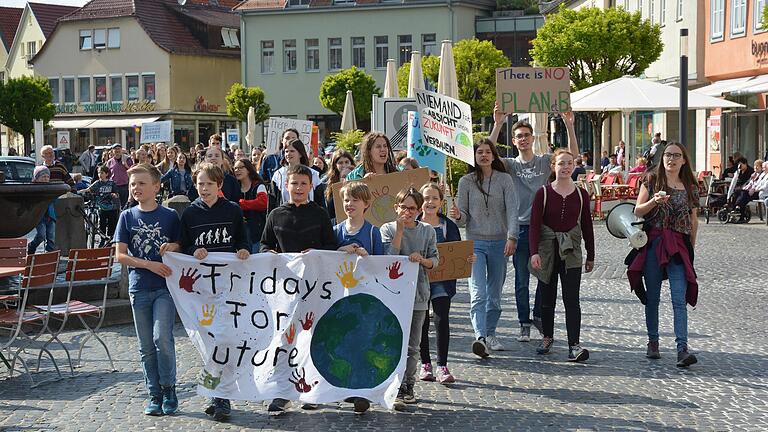 Klimaschutz ist auch in Rhön Grabfeld ein großes Thema. Deutlich wird das durch regelmäßige Fridays for Future -Demonstrationen, wie hier am 1. Juni in Bad Neustadt. Was unternehmen die Menschen aus dem Landkreis noch, um das Klima zu schützen?