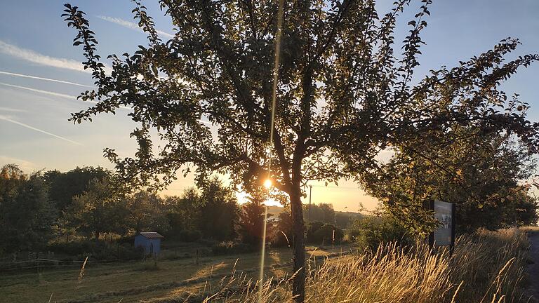 Im Bild der Obstpfad Schleerieth bei Sonnenaufgang.