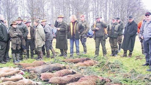 Zur Strecke gebracht: Einige Sauen und Hasen kamen den Jägern in der Langen Rhön vor die Flinte. Die Drückjagd gilt auch als vorbereitende Maßnahme für die Einbürgerung von schwedischem Birkwild in der Rhön. Zur Strecke gebracht: Einige Sauen und Hasen kamen den Jägern in der Langen Rhön vor die Flinte. Die Drückjagd gilt auch als vorbereitende Maßnahme für die Einbürgerung von schwedischem Birkwild in der Rhön.