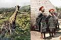 Über 300 Dias hat Egon Blatz von seiner Reise nach Südafrika mitgebracht.