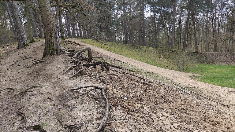 Die Sanddüne Tännig. Die Sanddüne Tännig.