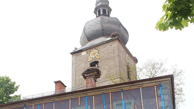 In der Hauptstraße in Uehlfeld steht dieses Strorchen-Denkmal.