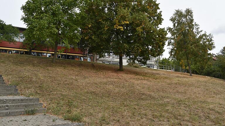 So sieht der Schulberg von Bad Neustadt heute aus. Früher war dort ein Verlobungstempel und im Winter wurde hinunter gerodelt. So sieht der Schulberg von Bad Neustadt heute aus. Früher war dort ein Verlobungstempel und im Winter wurde hinunter gerodelt.